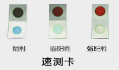 便攜式農(nóng)藥殘留速測(cè)儀 (3).jpg
