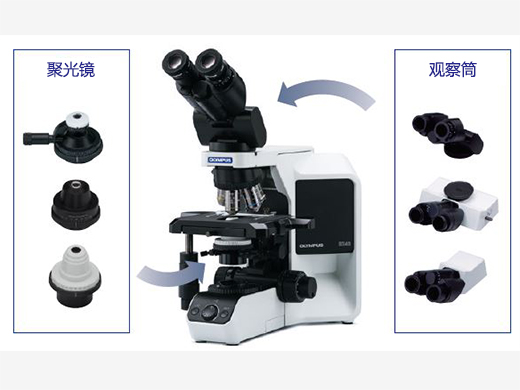 可根據(jù)不同的觀察類型進行定制.jpg
