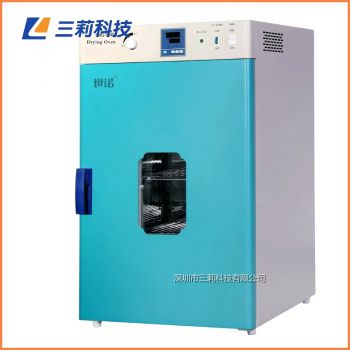 240升250℃恒溫烘箱DHG-9240A電熱鼓風干燥箱
