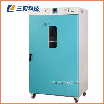 620升250℃老化測試烤箱 DHG-9620A電熱鼓風(fēng)干燥箱