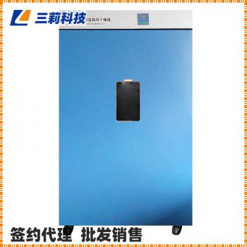 一恒大型烘箱DHG-9620A電熱恒溫鼓風(fēng)干燥箱 ,圖片,報價