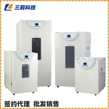 一恒精密鼓風(fēng)干燥箱 BPG-9000系列控制鼓風(fēng)烘箱-參數(shù),圖片